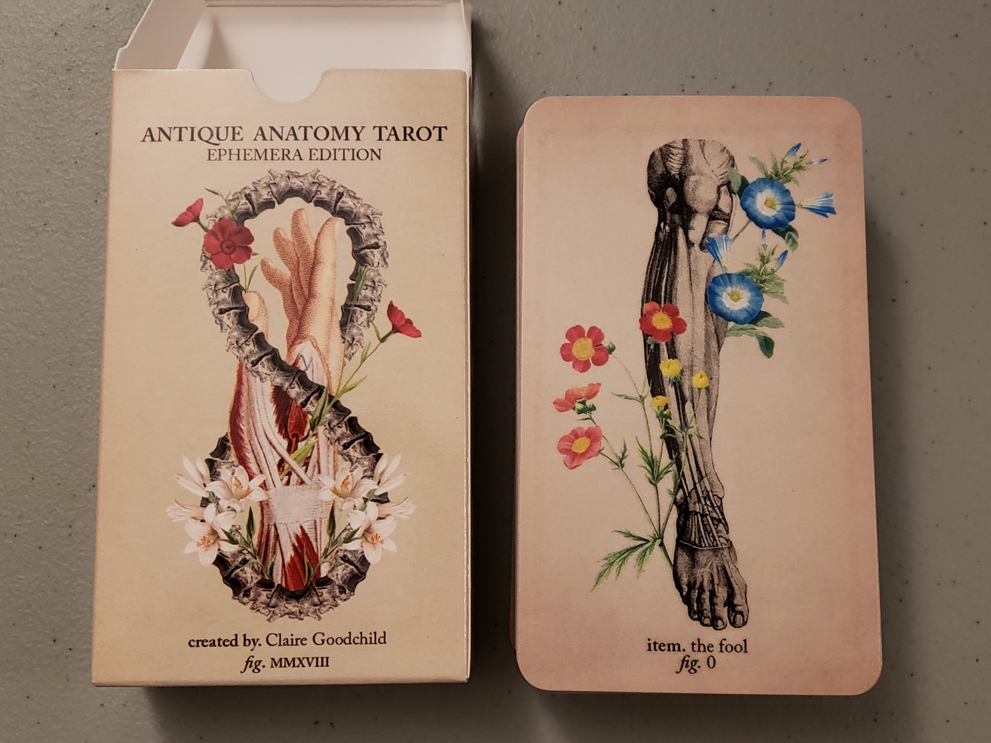 New Deck: Antique Anatomy Tarot - Ephemera Edition.